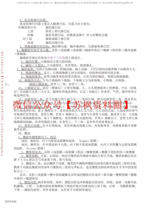 局部解剖学